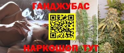 гашик Бердск