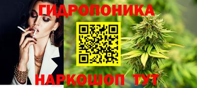 гашик Бердск